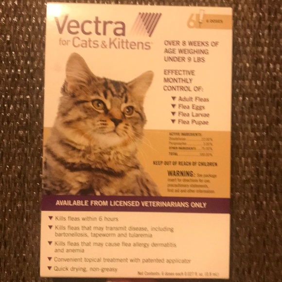 vectra for cats and kittens